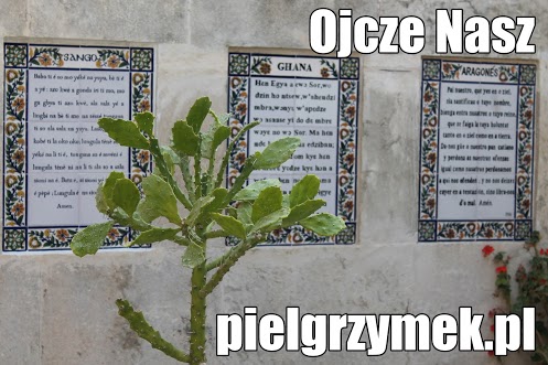 Izrael - Ziemia Święta Ziemia Święta Izraela